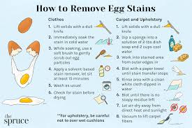 remove egg stains from clothes and carpet