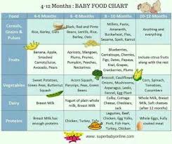 Please Guide Me About Solid Food Beggining For My 5 Month