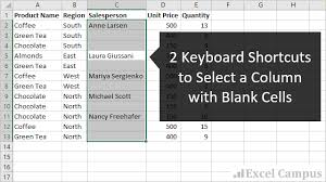 2 Keyboard Shortcuts To Select A Column With Blank Cells In