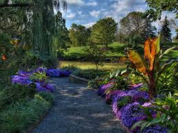Chicago Botanic Garden Picture Of