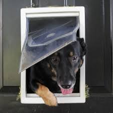 How Doggy Doors Are Making Your Home