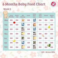 List Of 6 Month Food Chart Images And 6 Month Food Chart