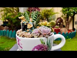 Succulent Arrangement In Teacup Planter