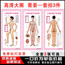 Buy Human Meridian Acupuncture Points Chart Large Wall Map