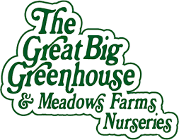 Great Big Greenhouse Best Garden