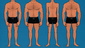 ideal male body type according to women