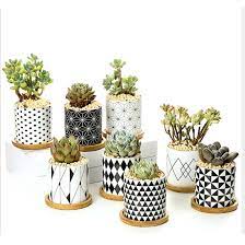 When you buy a plant from us it comes in a nursery pot. Custom Design Cheap Wholesale Ceramic Indoor Plant Pots Buy Pots For Plants Plant Pots Ceramic Ceramic Indoor Plant Pots Product On Alibaba Com