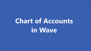 How To Set Up A Chart Of Accounts In Wave