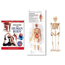 Wonders Of Learning Discover Human Body Tin Set