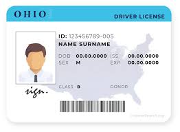 Ohio Driver License License Lookup