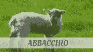 Image result for abbacchio  italian