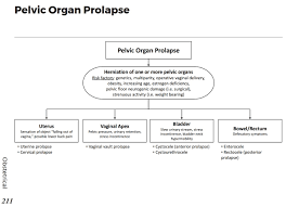 causes of pelvic organ prolapse