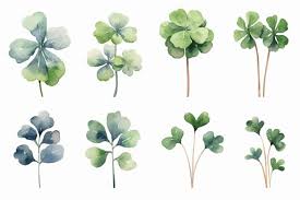 4 leaf clover water color images