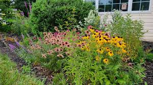 How To Start A Native Plant Garden From