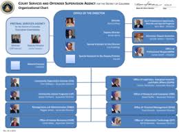 9 Printable Free Organizational Chart Forms And Templates