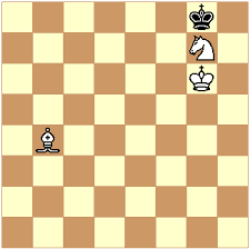 A knight with only a king cannot checkmate the other king, even if that king has no other pieces. How To Checkmate With A Bishop And A Knight Quora