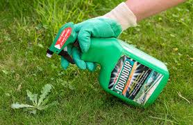 Roundup is the most widely known weed killer brand, and for good reason. Is It Time To Ditch The Roundup Habit Lawnstarter