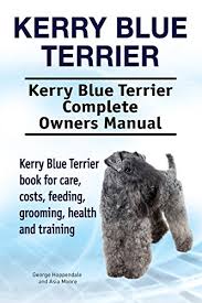 Our kerry blue terrier puppies for sale come from either usda licensed commercial breeders or hobby breeders with no more than 5 breeding mothers. Kerry Blue Terrier Dog Kerry Blue Terrier Dog Book For Costs Care Feeding Grooming Training And Health Kerry Blue Terrier Dog Owners Manual Kindle Edition By Hoppendale George Moore Asia Crafts
