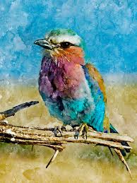 Bird On A Tree Canvas Wall Art Prints