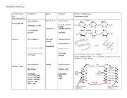67 Accurate Biological Macromolecules Chart