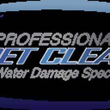 professional carpet cleaners 2227
