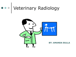 Ppt Veterinary Radiology Powerpoint Presentation Free