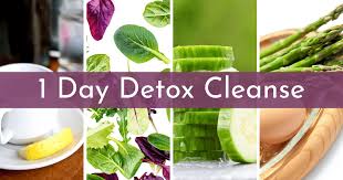 1 day detox cleanse meal plan recipes