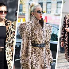 8 best leopard print coats for 2023