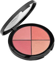 blush palet aden cosmetics blusher