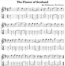 flower of scotland sheet and tin