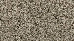 calming path fossil gray frieze carpet