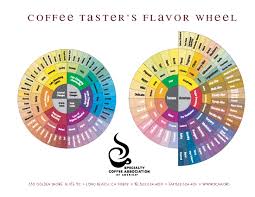 What Does Coffee Taste Like Coffee Wheel Coffee Taste