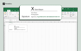 electronic signatures in excel