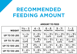 Purina Dog Feeding Chart Purina Feeding Chart