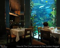 Looking At Aquarium From Dining Table At Chart House In Las