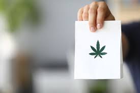 Maybe you would like to learn more about one of these? Ontario Cannabis Consumers Will Soon Have New Options Including Weed Delivery Cannabis Wiki