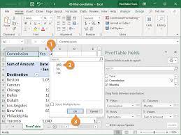 pivot table filter custuide