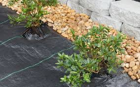 Rock Landscaping Ideas That Increase