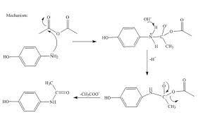 Propose A Synthesis Of Acetaminophen