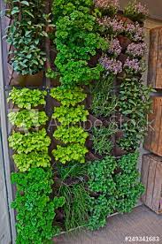 a vertical herb garden in a small urban