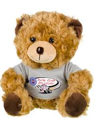 Auto Club Speedway Mascot Teddy Bear Pit Shop Official Gear