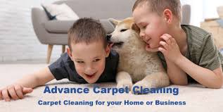 brighton carpet cleaning advance