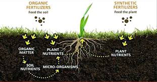 organic vs inorganic fertilizer whats