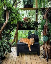 Cozy Diy Balcony Ideas For Cats
