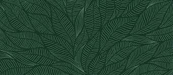leaf pattern images browse 6 060 693