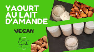 yaourt au lait d amande recette vegan