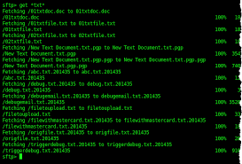 using sftp on the command line