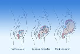 13 Early Pregnancy Symptoms Signs Missed Period Cramps