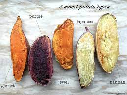 which sweet potatoes should you