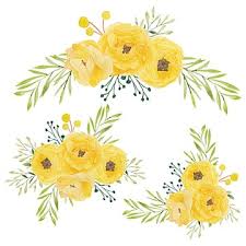 yellow flower watercolor png